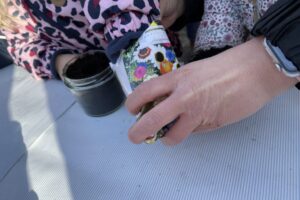 IMG_0240